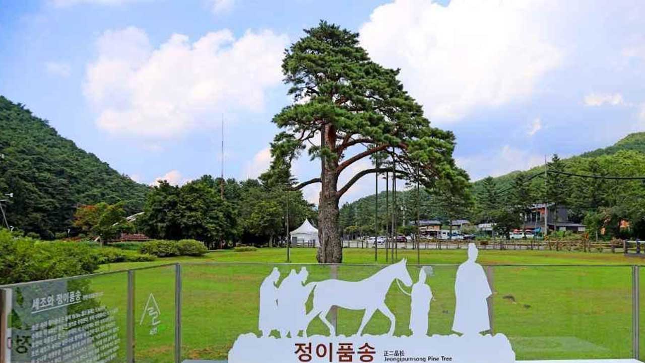 세조 임금의 행차 전설과 정2품 벼슬 하사의 유래를 표현한 가마 행차 조형물. / 한국관광공사