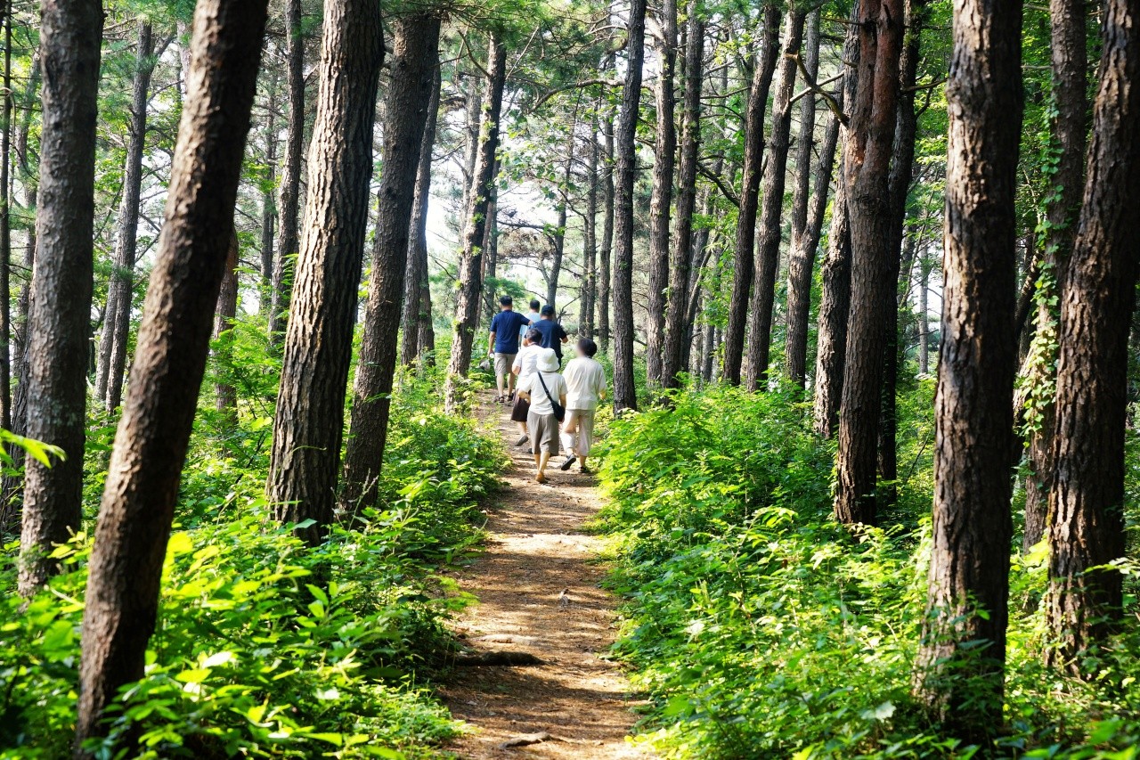 화인산림욕장 산책길. / ⓒ한국관광콘텐츠랩-노희완
