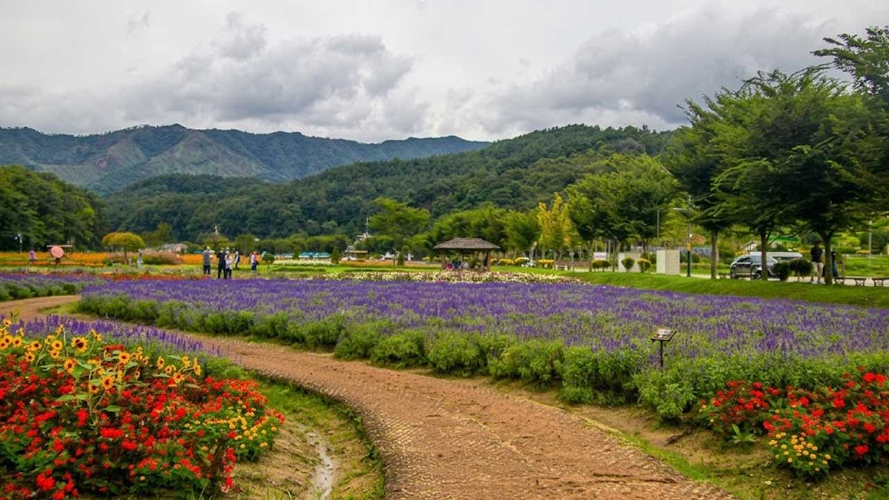 5만 3000㎡ 넓은 경관단지에 알록달록한 여름꽃들이 장관을 이루는 꽃밭 풍경. / ⓒ한국관광콘텐츠랩-김지영