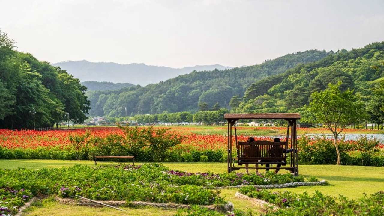 붉은 꽃밭과 푸른 산자락을 편안하게 바라보며 쉬어갈 수 있는 경관단지 내 흔들의자 쉼터. / 한국관광공사