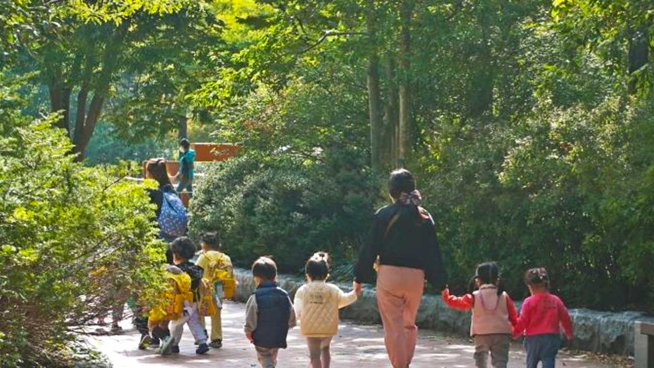 손을 꼭 잡은 아이들이 선생님과 함께 숲 그늘 아래 산책로를 거니는 정겨운 모습. / 한국관광공사