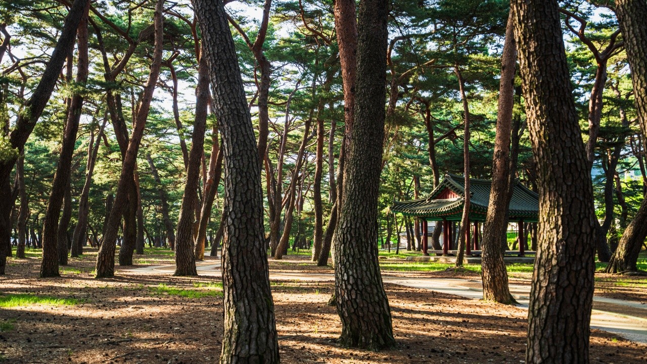 하동 송림공원 전경. / ⓒ한국관광콘텐츠랩-김지호