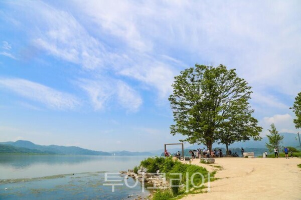양평 두물머리 풍경/투어코리아뉴스 김경남 기자        사진=양평군