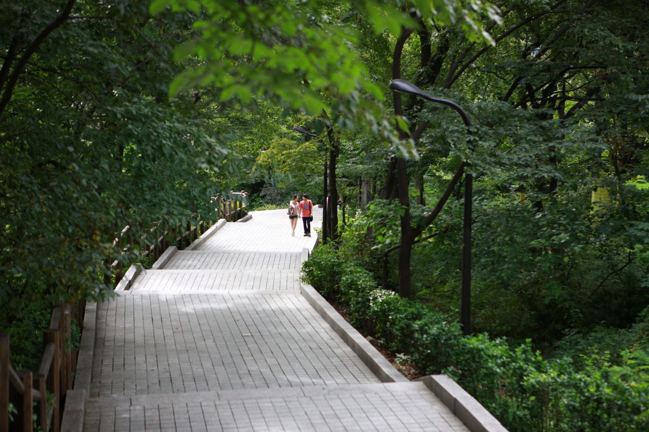 남산공원 산책로. / ⓒ한국관광콘텐츠랩-이범수
