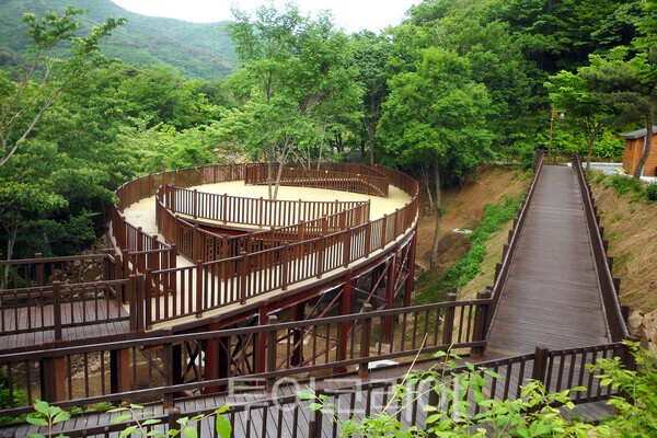사진 / 운문산휴양림 데크로드