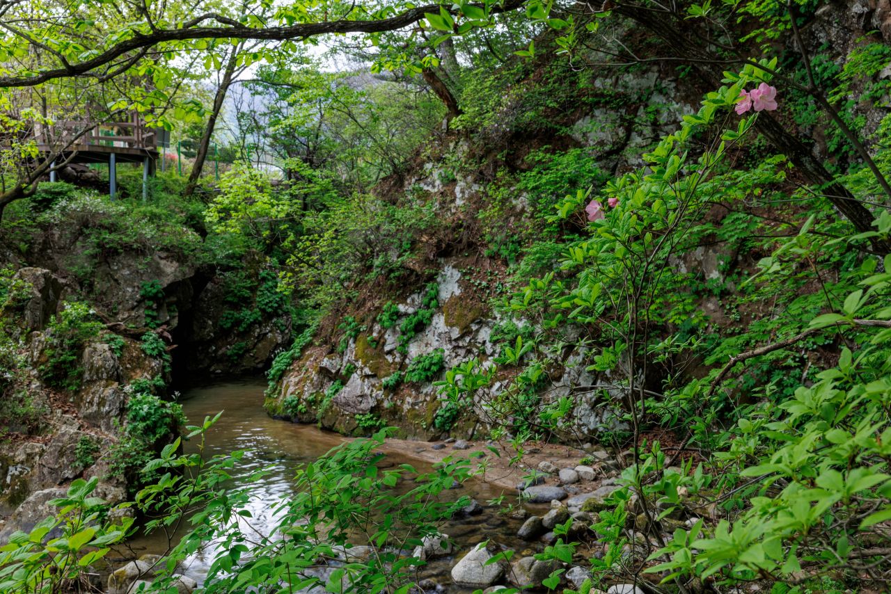 팔랑폭포 주변 풍경. / ⓒ한국관광콘텐츠랩-손명권