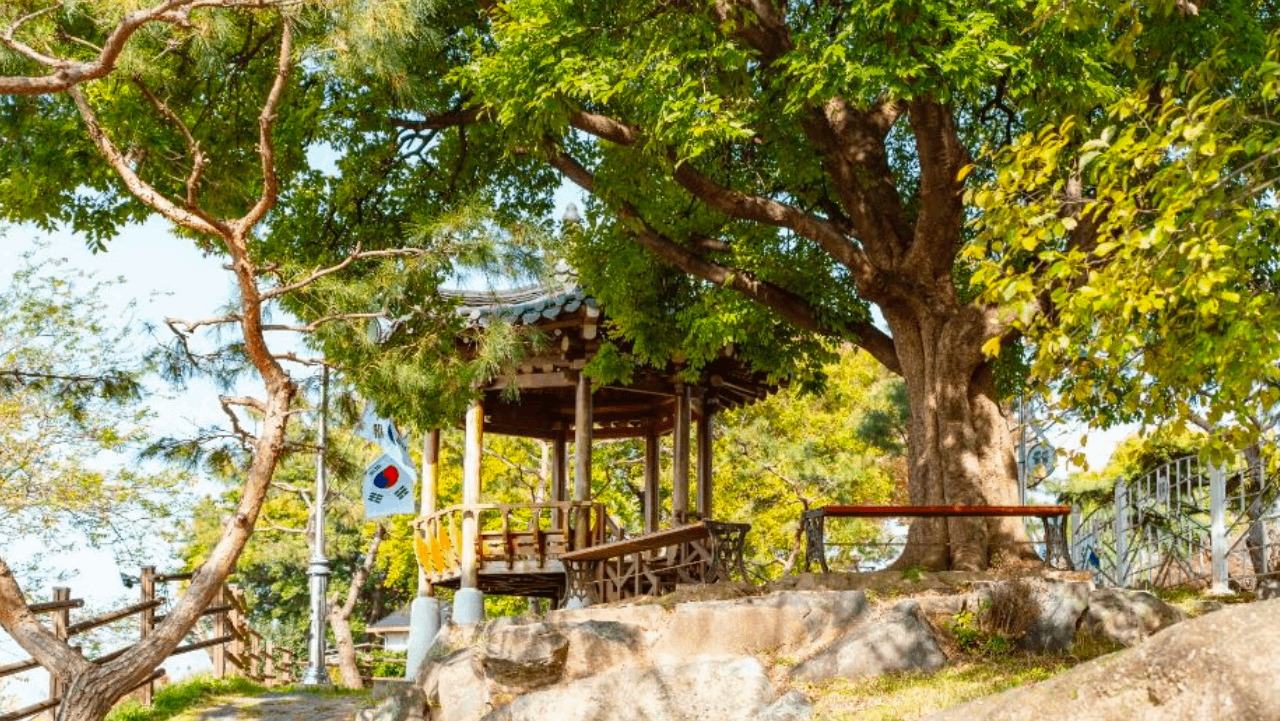 선녀 설화와 금강 풍경을 품고 느티나무 아래 고즈넉하게 자리한 정자 송재정. / 한국관광공사