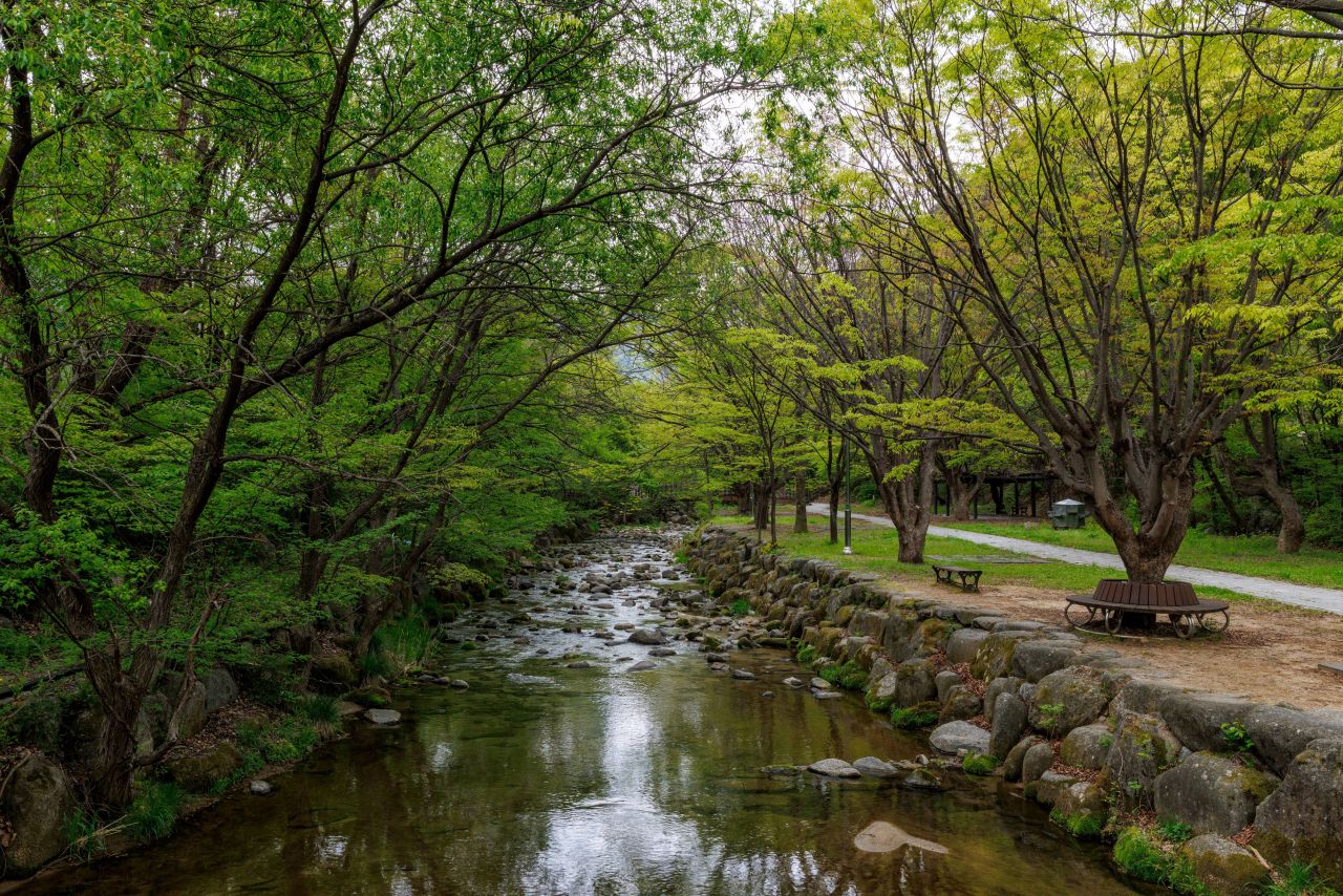 팔랑폭포 산책길. / ⓒ한국관광콘텐츠랩-손명권
