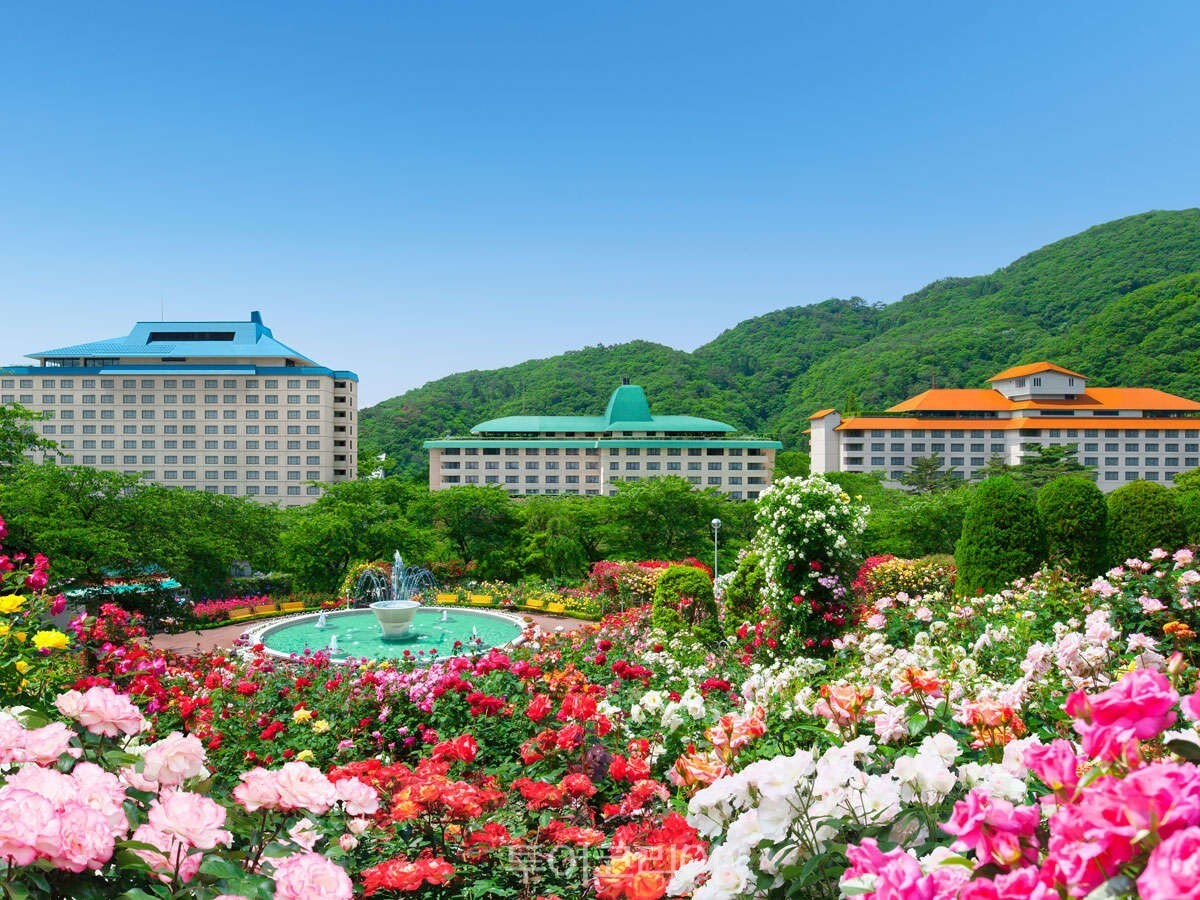  하나마키 온천 장미원 사진-한진트래블