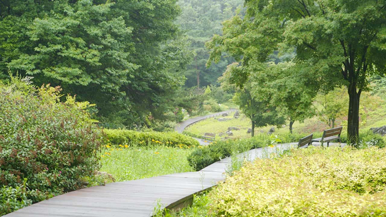 석회암 침식 지형(돌리네)을 따라 조성된 785m 산책로. / 한국관광공사