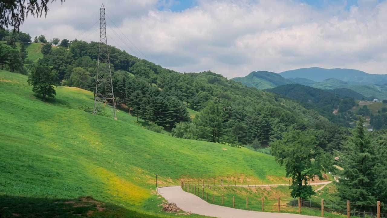 산자락을 따라 30만 ㎡ 규모로 광활하게 펼쳐진 청정 고원의 방목 초지 전경. / 한국관광공사