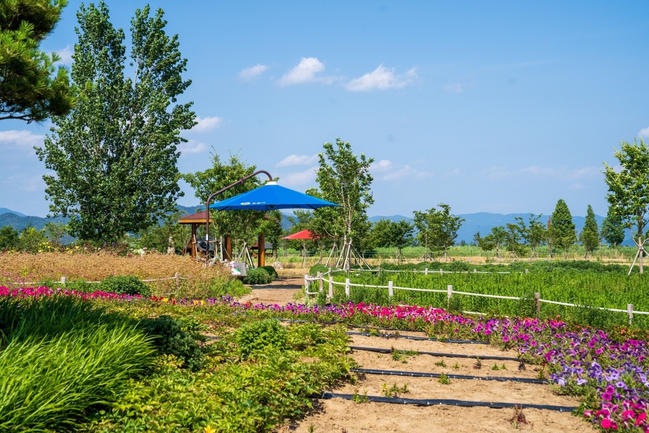 창원 대산플라워랜드 산책로. / ⓒ한국관광콘텐츠랩-김지호