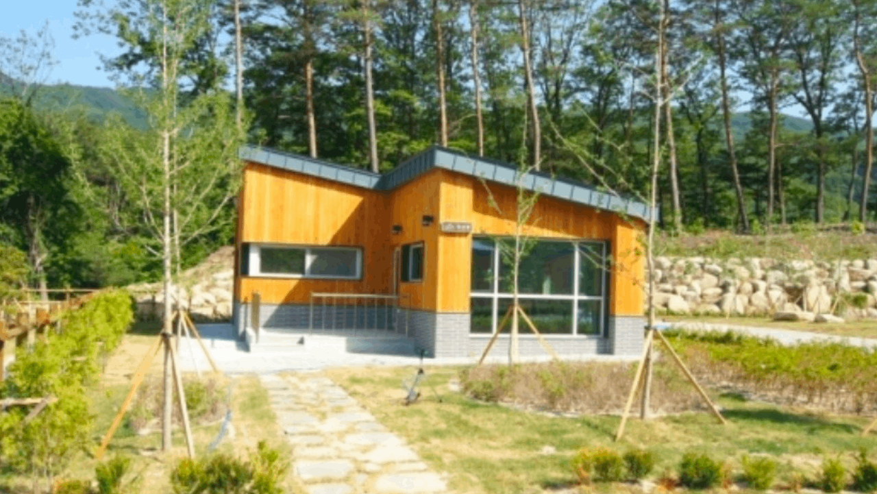 자연 훼손을 줄이면서 편안한 휴식을 누릴 수 있도록 단정하게 정비된 독채형 숙소와 주변 풍경. / 숲나들e