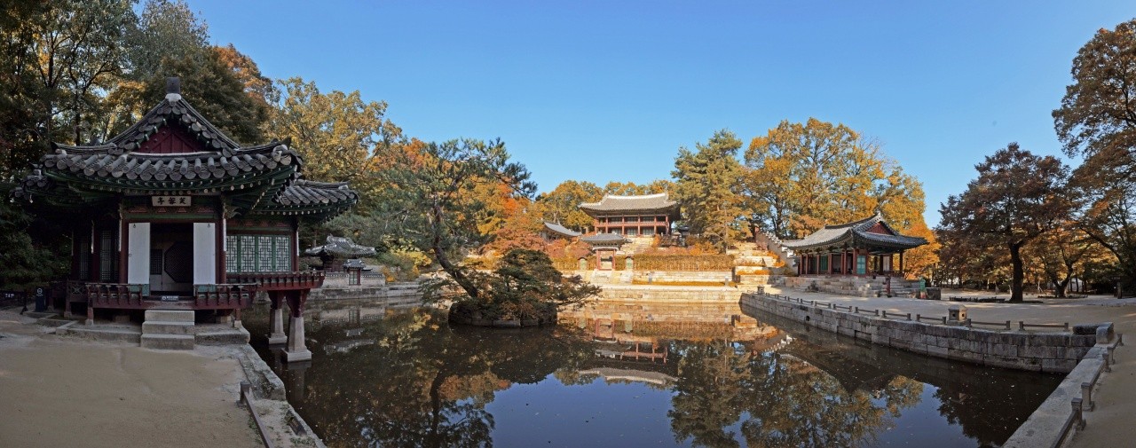 창덕궁 후원 부용지 일대. / ⓒ한국관광콘텐츠랩-두드림