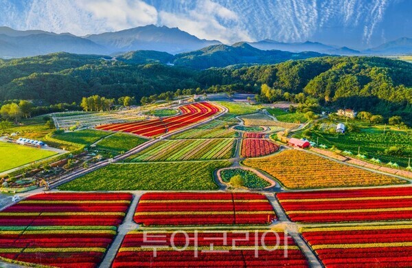 고석정꽃밭/사진－철원군