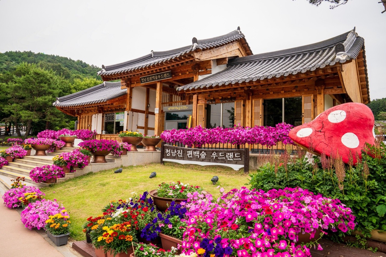 편백숲 우드랜드에 위치한 휴양림. / ⓒ한국관광콘텐츠랩-김지호