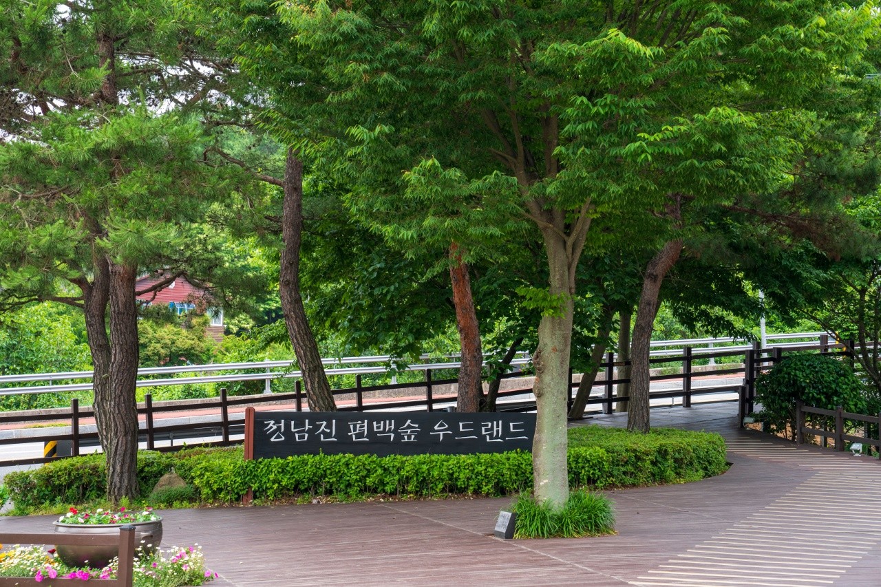 편백숲 우드랜드. / ⓒ한국관광콘텐츠랩-김지호