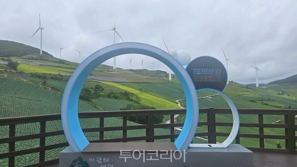 바람의 언덕  ⓒ투어코리아