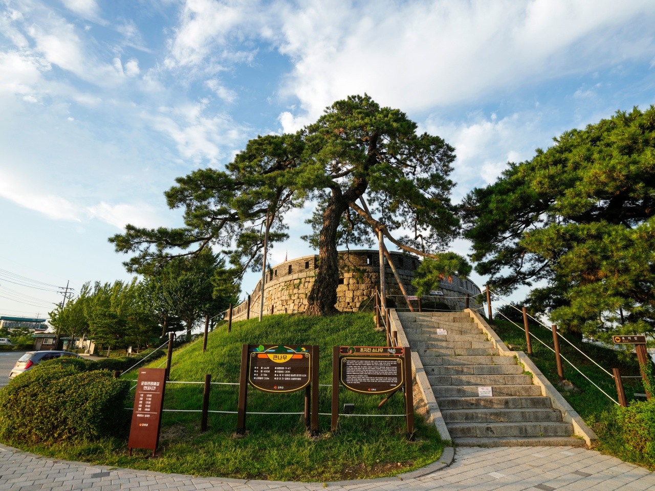 초지진 큰나무 전경. / ⓒ한국관광콘텐츠랩-이범수