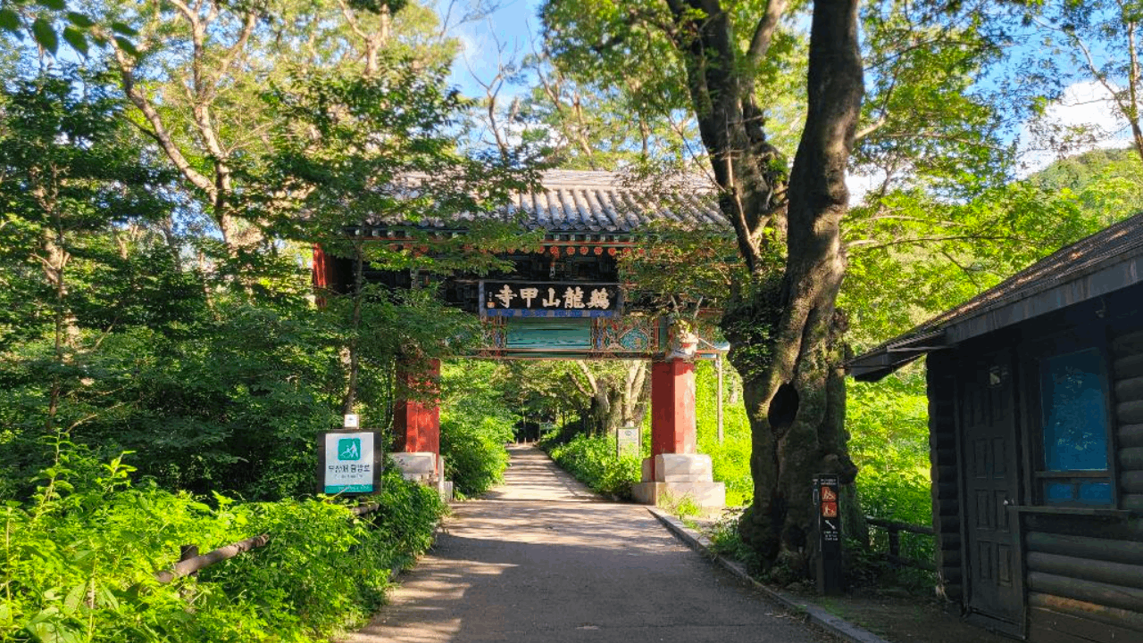 고목들이 우거진 오리숲 산책로와 고풍스러운 멋을 더하는 계룡산 갑사 일주문. / 충청남도청