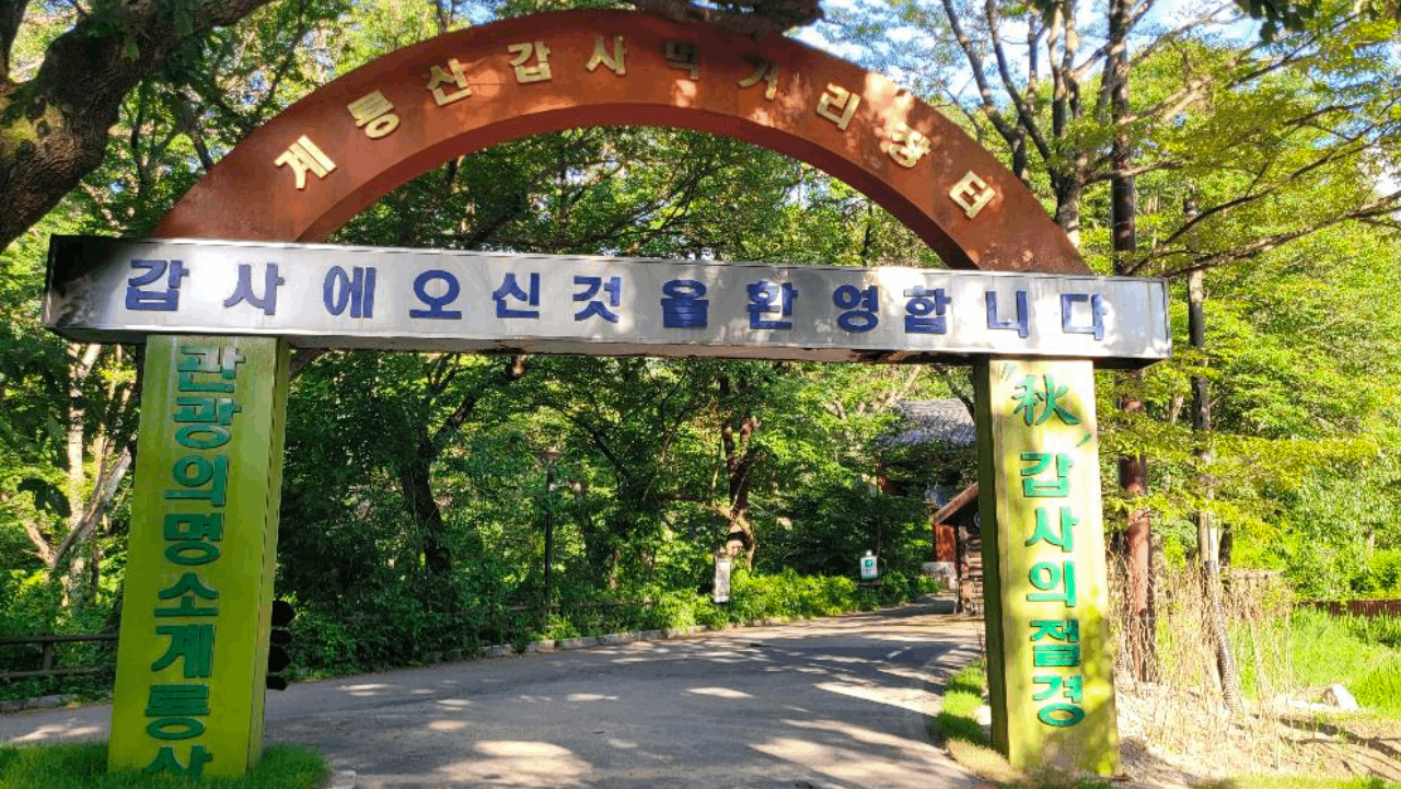 갑사로 향하는 진입로 입구에 자리한 정겨운 분위기의 계룡산 갑사 먹거리 마을 환영 아치. / 충청남도청