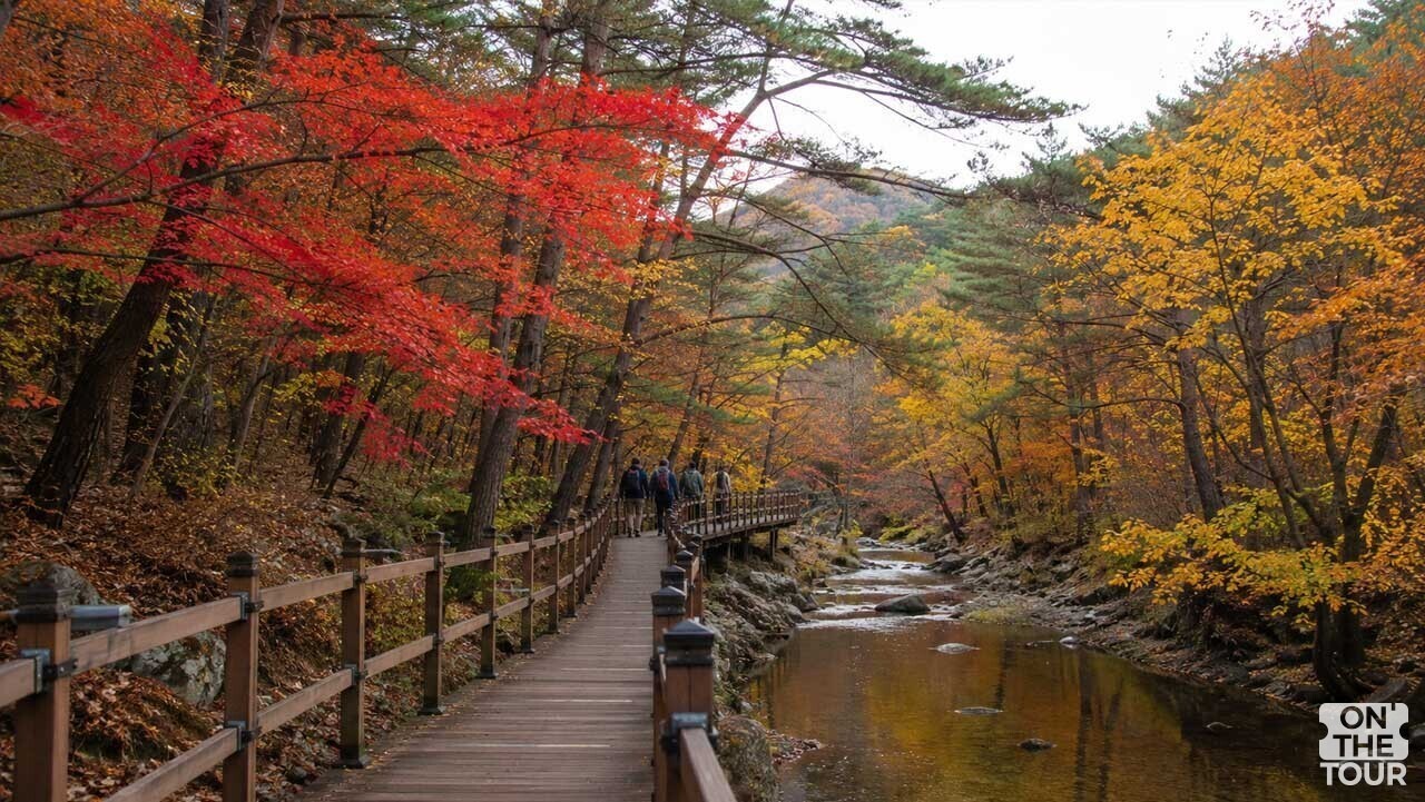 화려한 단풍이 물들어 장관을 이루는 세조길의 가을 정취. (AI 생성) / 온더투어