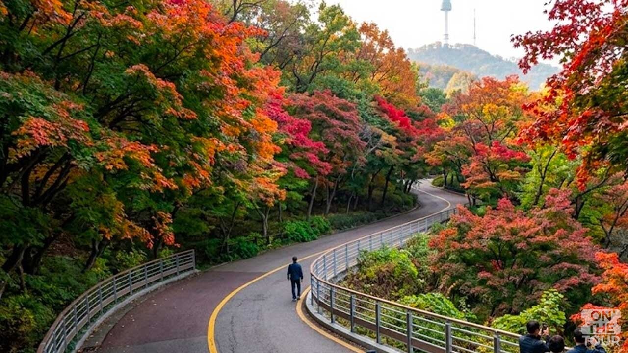 휠체어나 유모차도 편안하게 걸으며 단풍을 감상하는 남산 하늘숲길. (AI 생성) / 온더투어