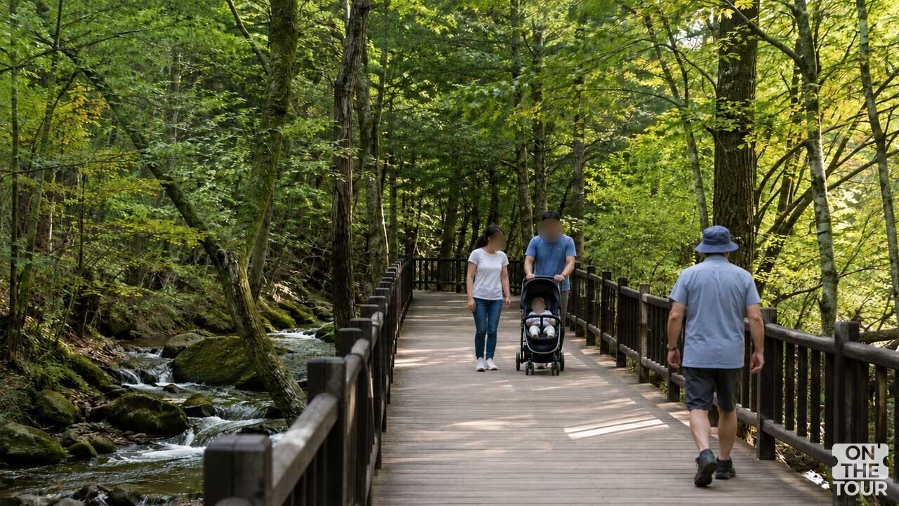 안전하게 이동할 수 있도록 조성된 1.2km 무장애 데크 탐방로. (AI 생성) / 온더투어