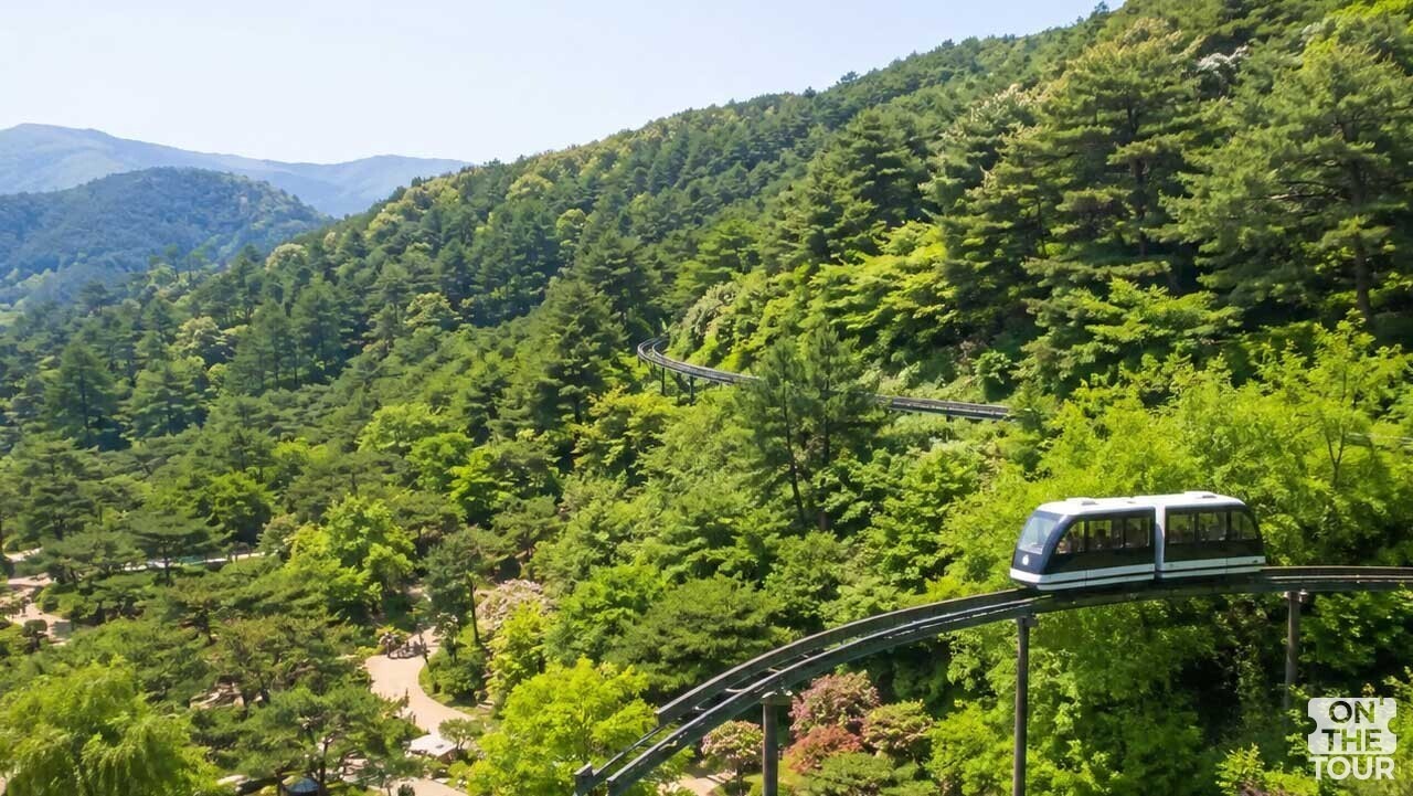 온라인 사전 예매제로만 운영돼 쾌적하게 관람할 수 있는 수목원 풍경. (AI 생성) / 온더투어