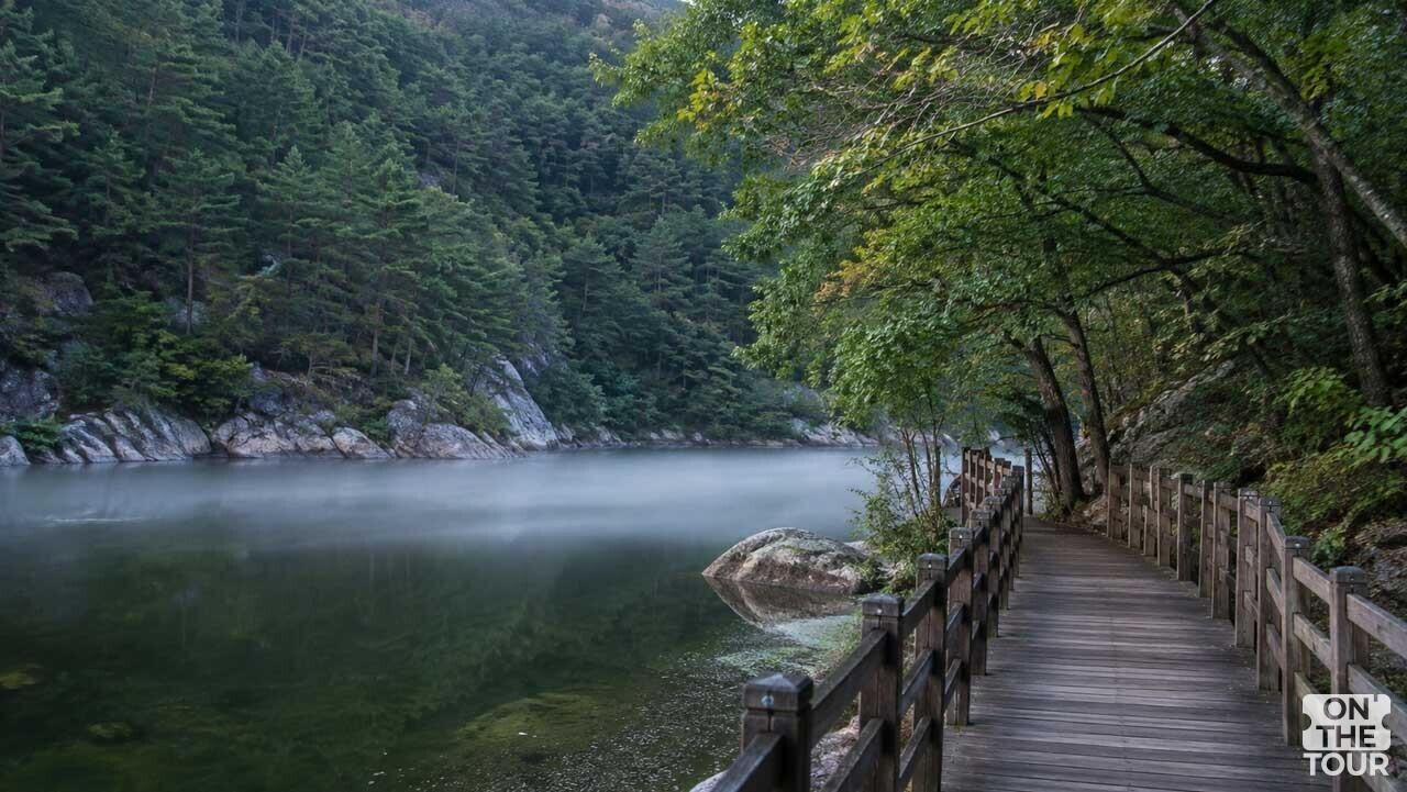 법주사 인근 저수지 변 데크 산책로. (AI 생성) / 온더투어