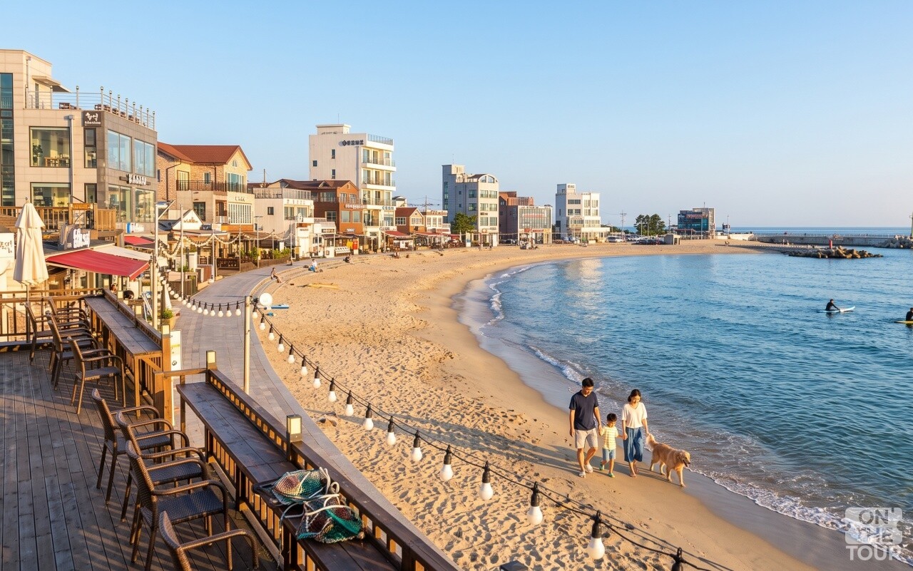 안목해변 카페거리 전경. (AI 생성) / 온더투어