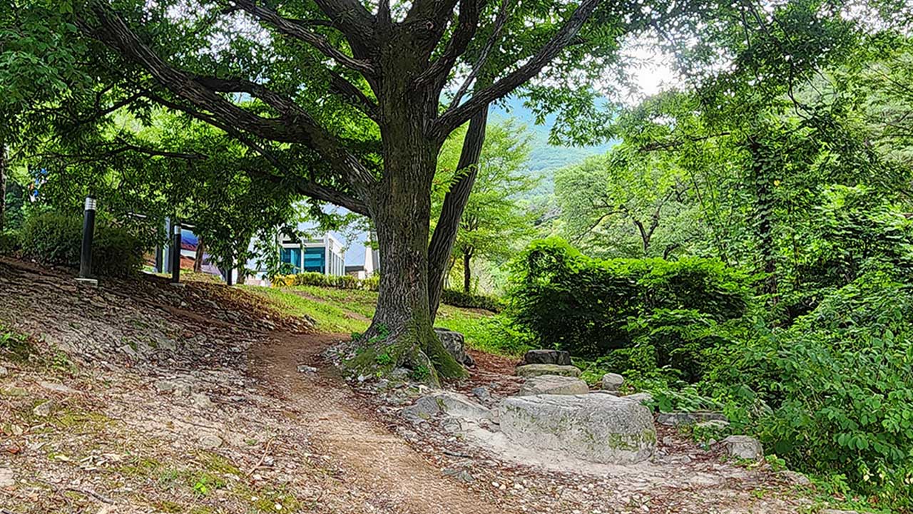 숲 소리와 청정한 자연을 오롯이 느껴보는 산책로. / 울산울주세계산악영화제