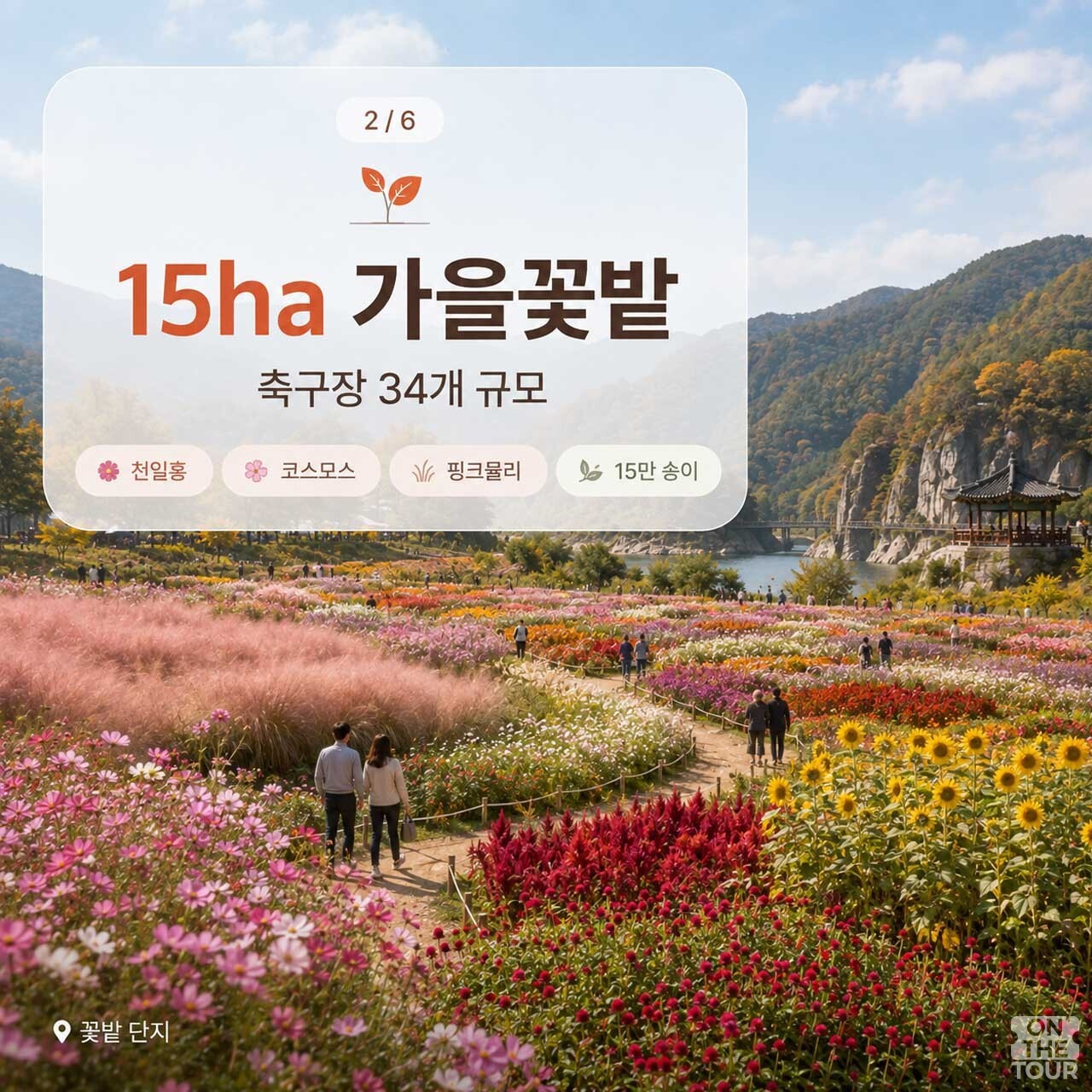 들판에 천일홍, 코스모스, 핑크뮬리가 피어난 가을꽃밭 단지 (AI 생성). / 온더투어
