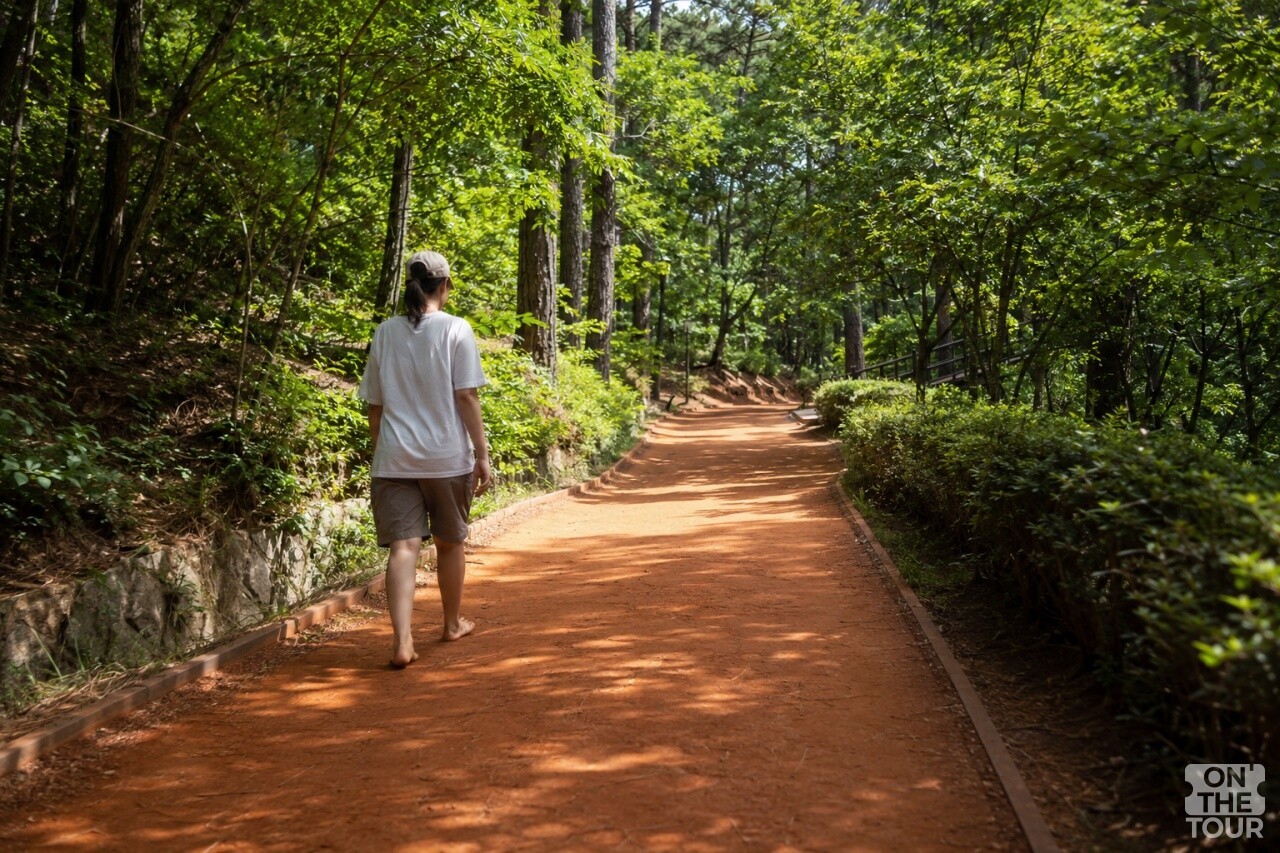 물무산 행복숲 맨발 황톳길을 걷고 있는 시민. (AI 생성) / 온더투어