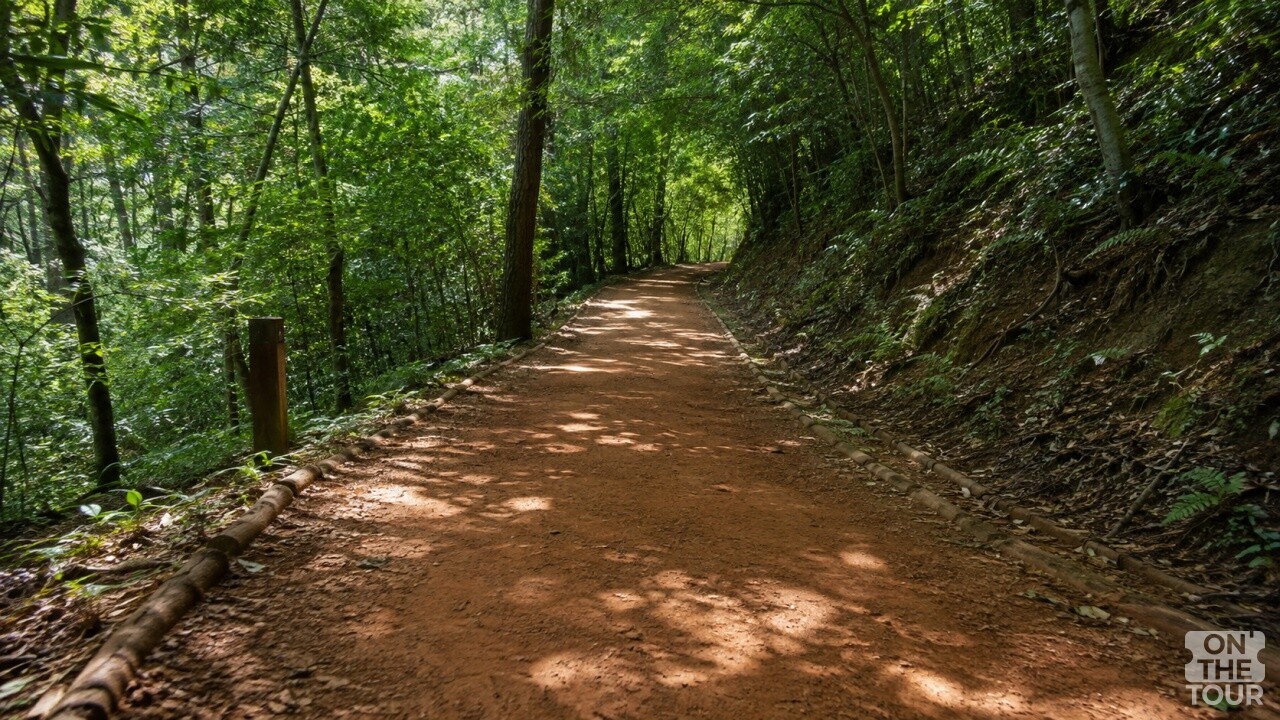 물무산 행복숲 산책길 전경. (AI 생성) / 온더투어