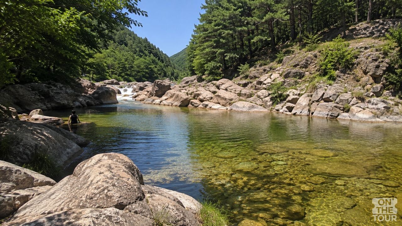 인제 백담계곡 전경. (AI 생성) / 온더투어