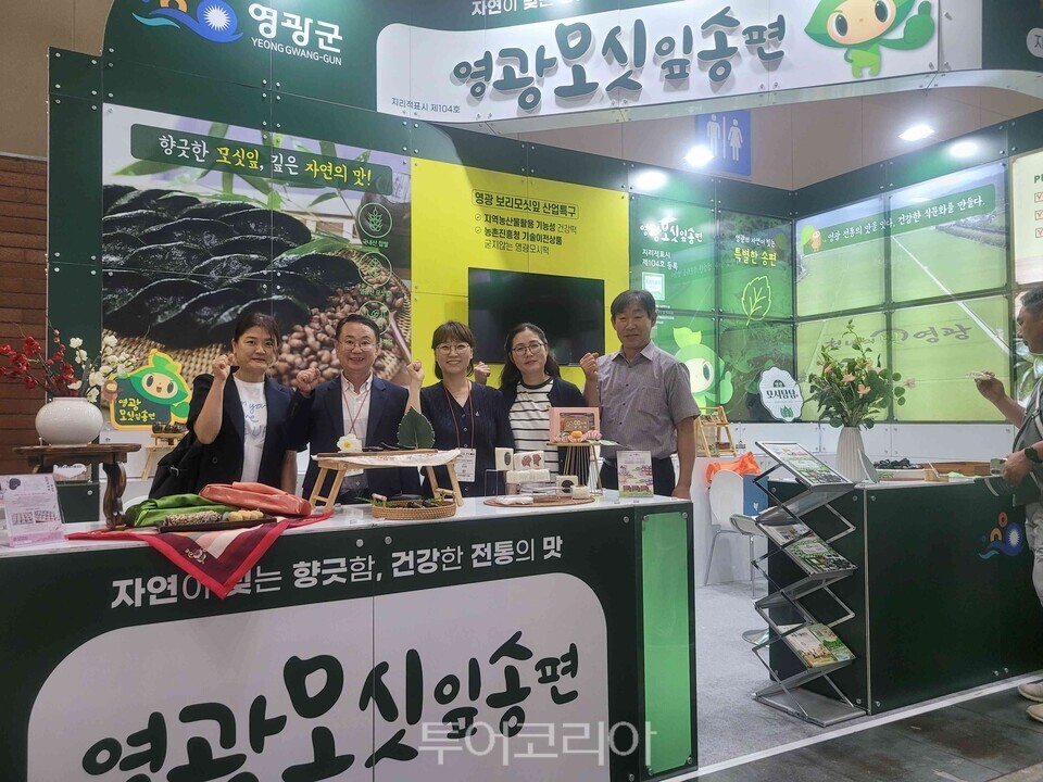 모싯잎송편/사진=영광군