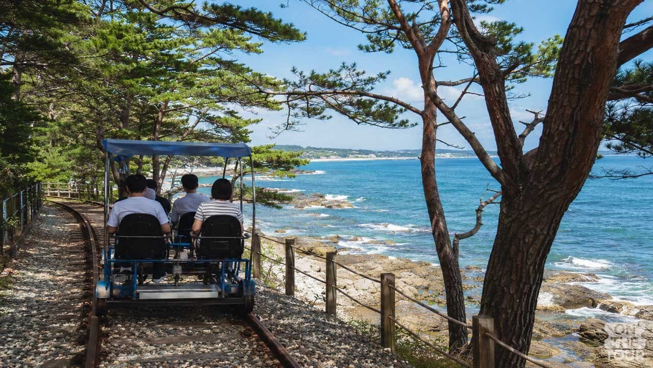 소나무 숲과 동해안 사이 철길을 달리는 삼척 해양레일바이크. (AI 생성) / 온더투어