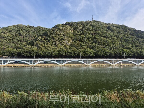 기후에너지환경부 주관 생태관광지역에 5회 연속 재지정된 울산 태화강 일원. 태화강십리대밭 방면에서 태화강을 바라본 모습./사진-투어코리아 김교환 기자
