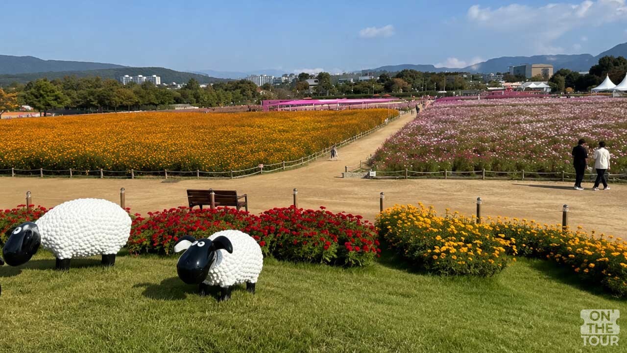 황금빛 꽃밭이 드넓게 펼쳐져 볼거리가 많아진 농원 내부 관람 구역. (AI 생성) / 온더투어