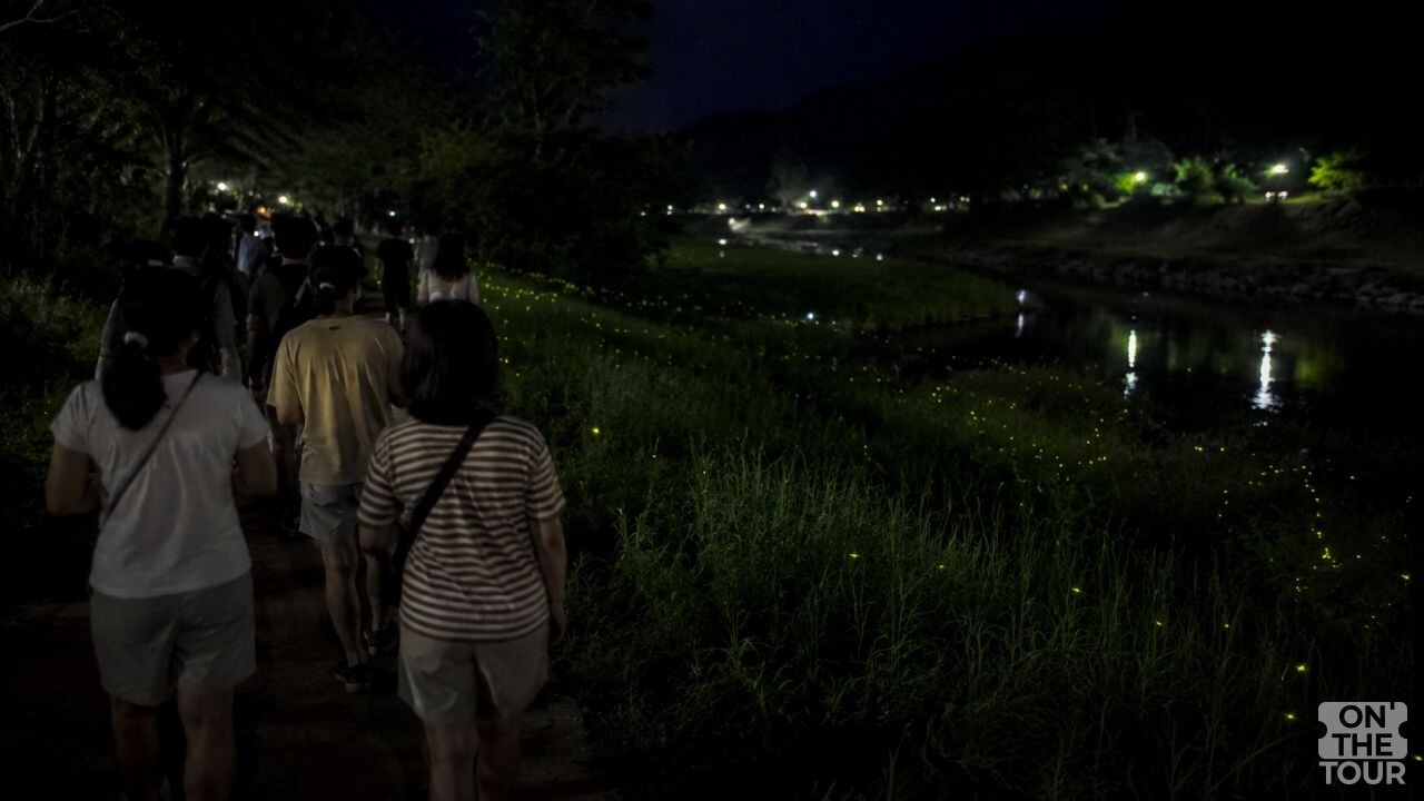 무주 반딧불축제 신비탐사 모습. (AI 생성) / 온더투어