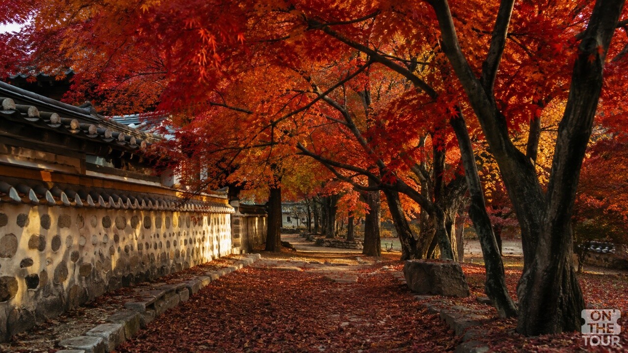 붉은 단풍이 절정에 이른 모습. (AI 생성) / 온더투어