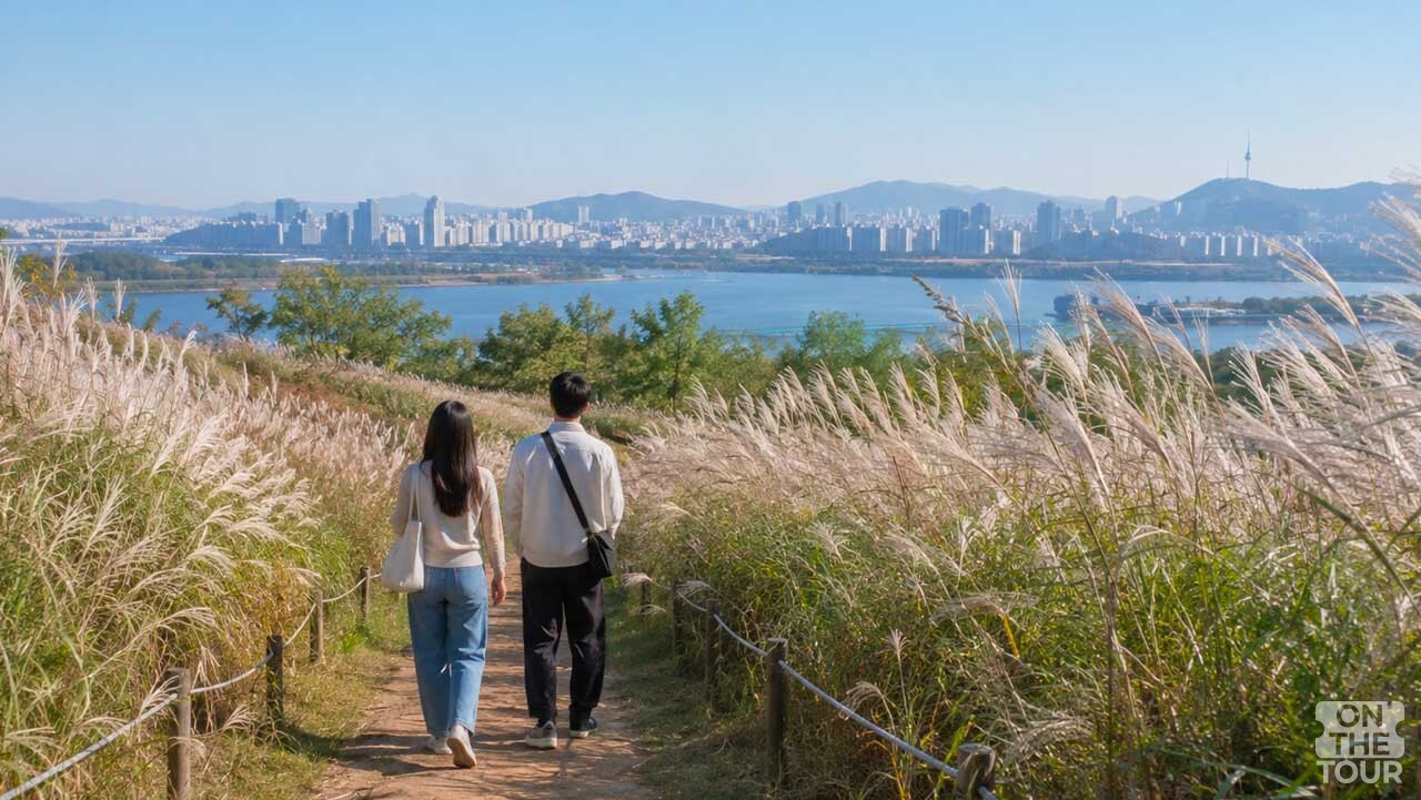 하늘공원 억새밭 사이 산책로를 따라 걸으며 한강과 서울 도심을 바라보는 모습. (AI 생성) / 온더투어