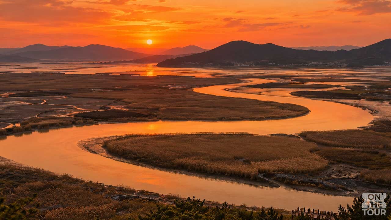 순천만습지 용산전망대에서 바라본 S자 수로와 갈대밭의 일몰 풍경. (AI 생성) / 온더투어