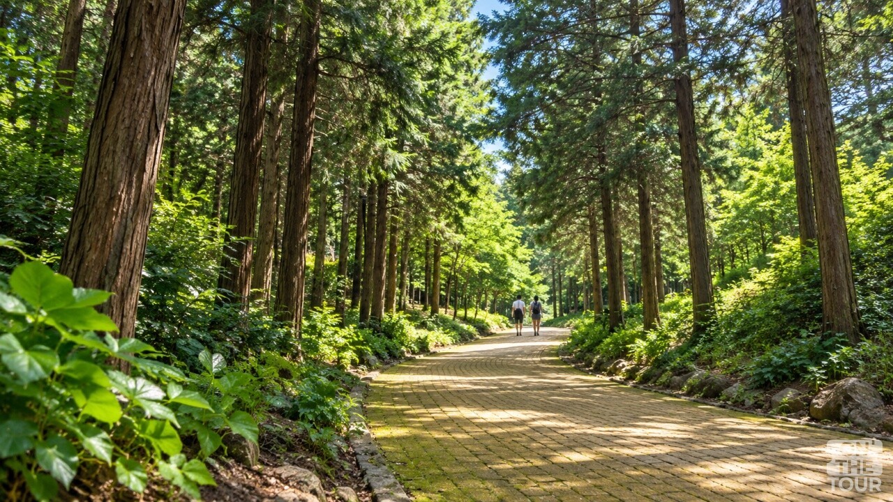 전남 장흥 정남진 편백숲 우드랜드 산책로. (AI 생성) / 온더투어