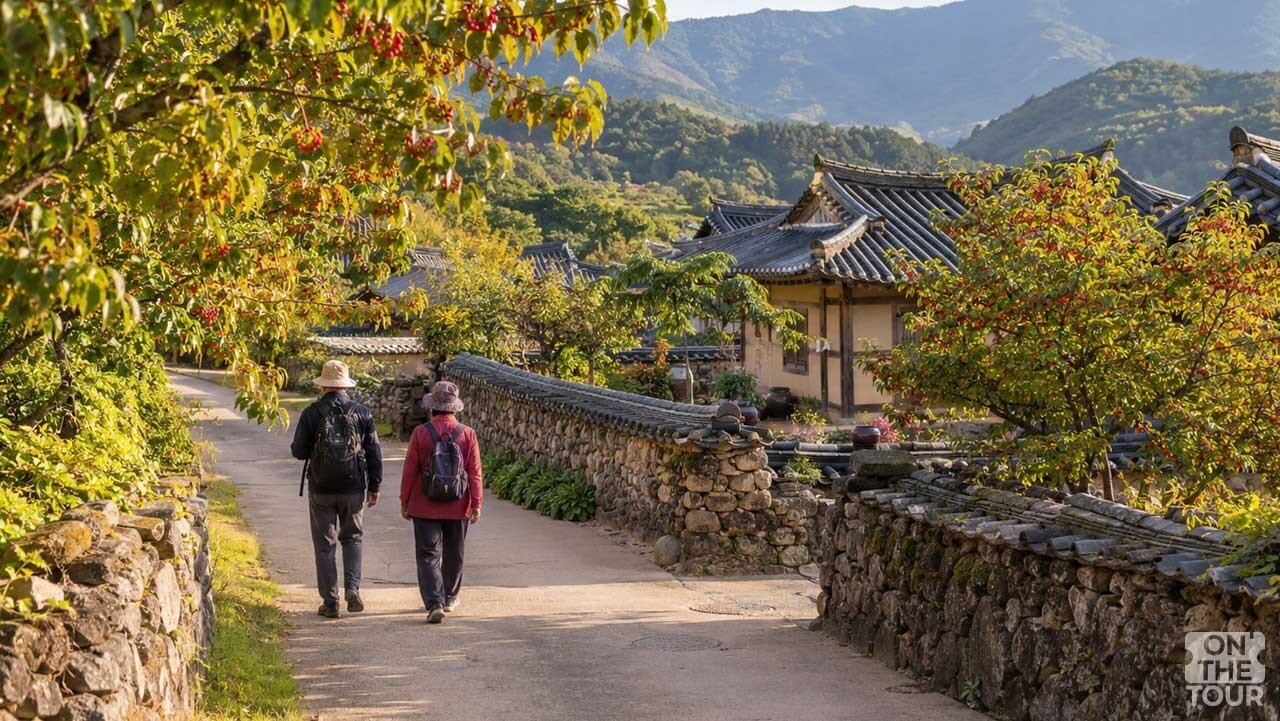 산수유 열매가 익어가는 돌담길을 따라 천천히 걷는 구례 산수유마을 풍경. (AI 생성) / 온더투어