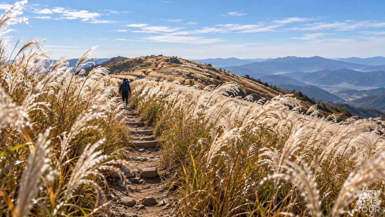 키 큰 억새 사이로 난 민둥산 산길을 등산객이 천천히 오르고 있다. (AI 생성) / 온더투어