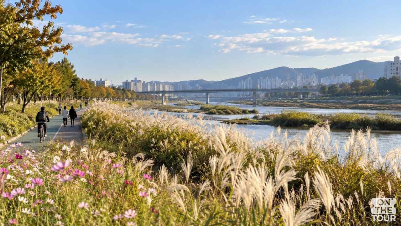 은빛 억새와 코스모스가 핀 무심천변에서 시민들이 산책과 자전거 타기를 즐기는 모습. (AI 생성) / 온더투어