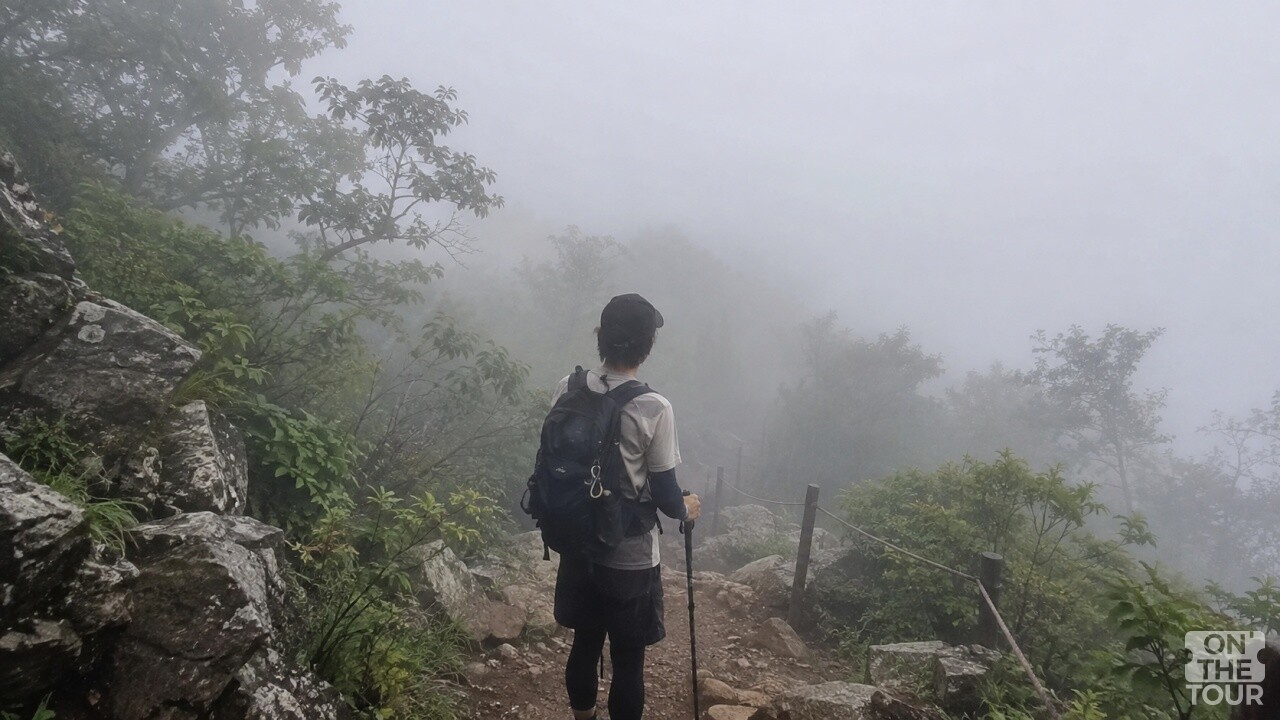 등산 중 안개로 인해 멈춰 선 모습. (AI 생성) / 온더투어