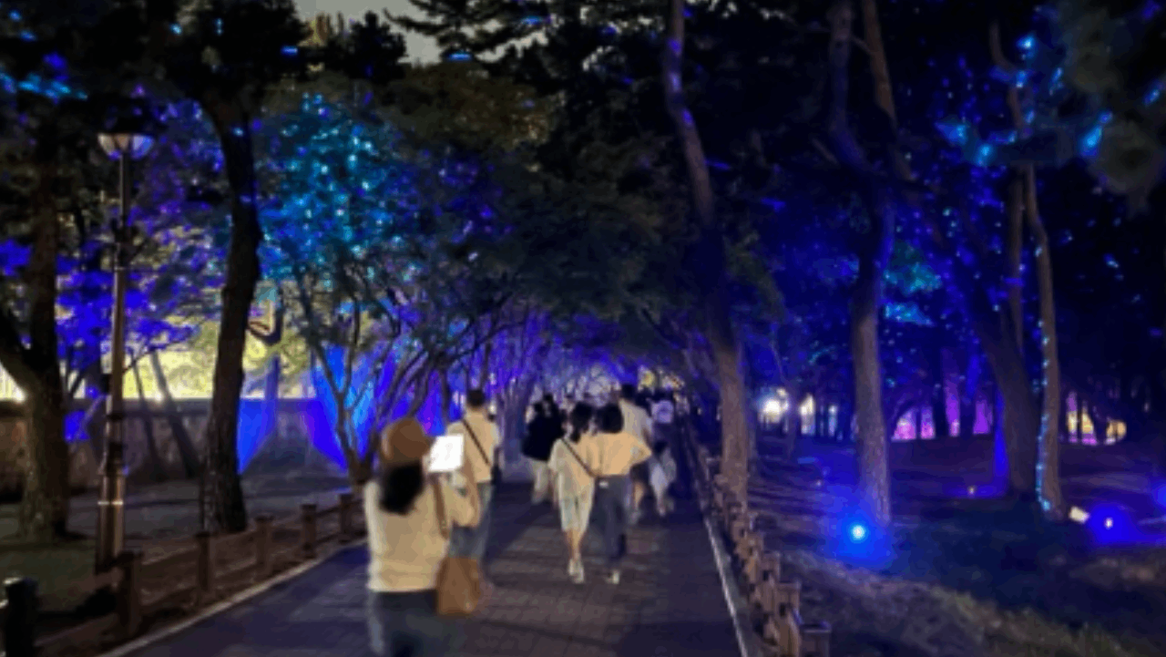 다채로운 조명이 비추는 경주 야간 산책로를 걷는 관람객들. / 경주시 